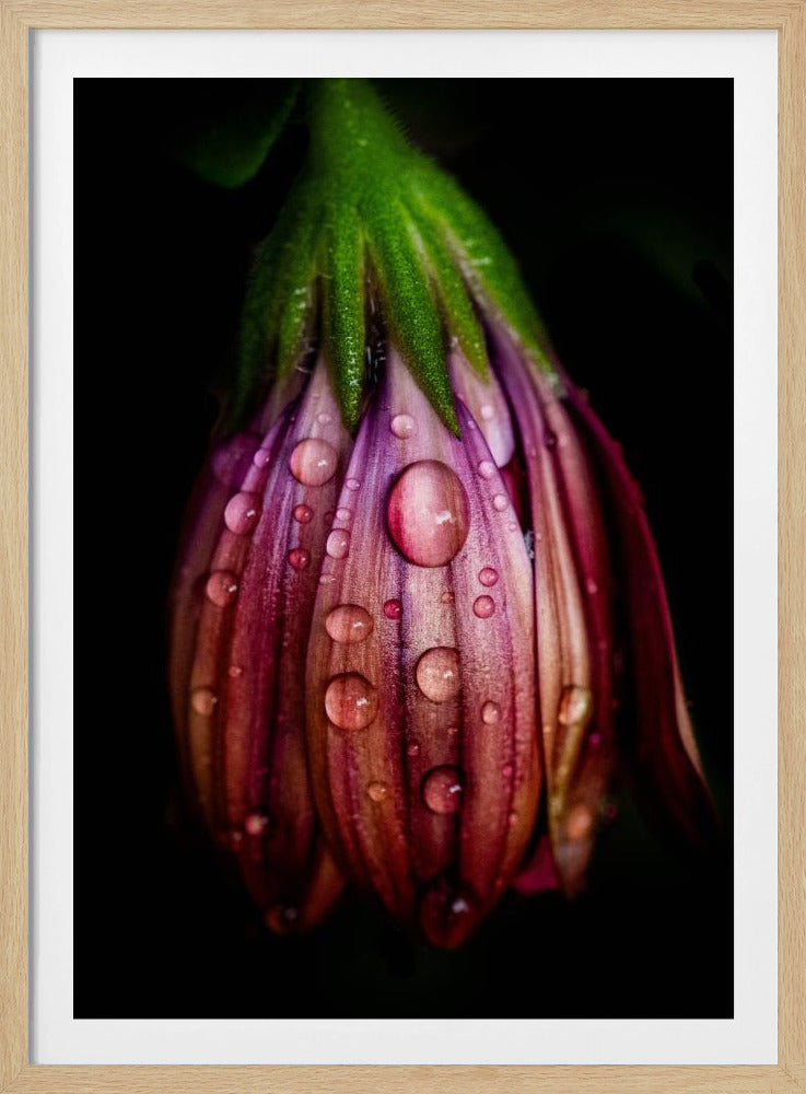 After the rain | Poster