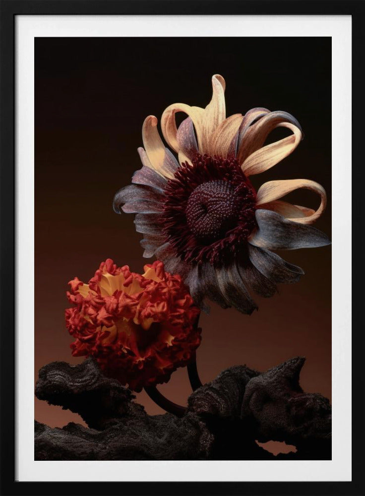 Stillleben Blumen Nr. 5 | Poster