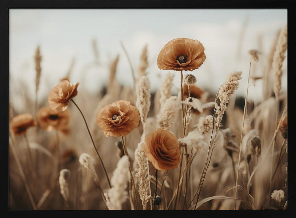 Mohnblumen im Wind | Poster