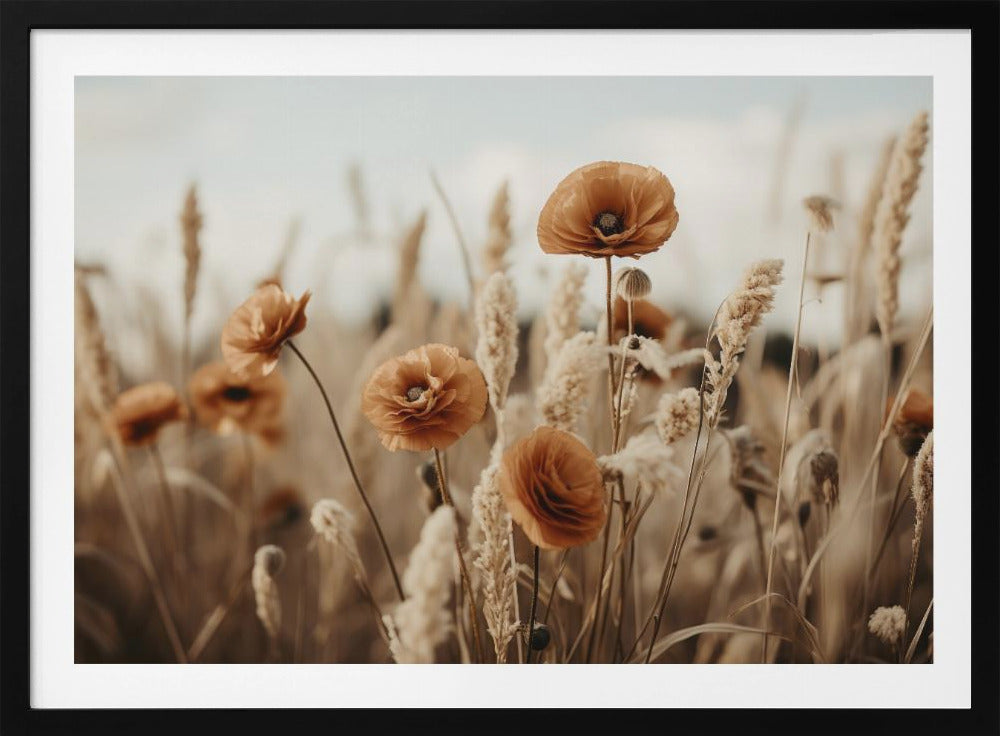 Mohnblumen im Wind | Poster