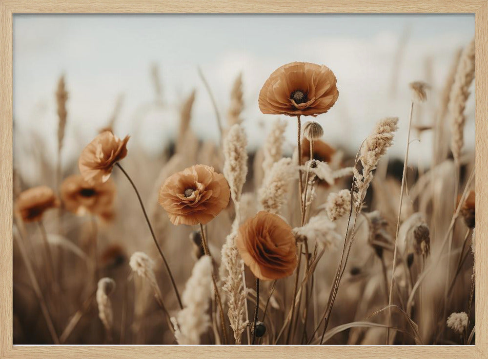 Mohnblumen im Wind | Poster