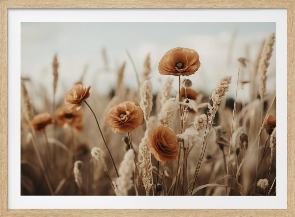 Mohnblumen im Wind | Poster