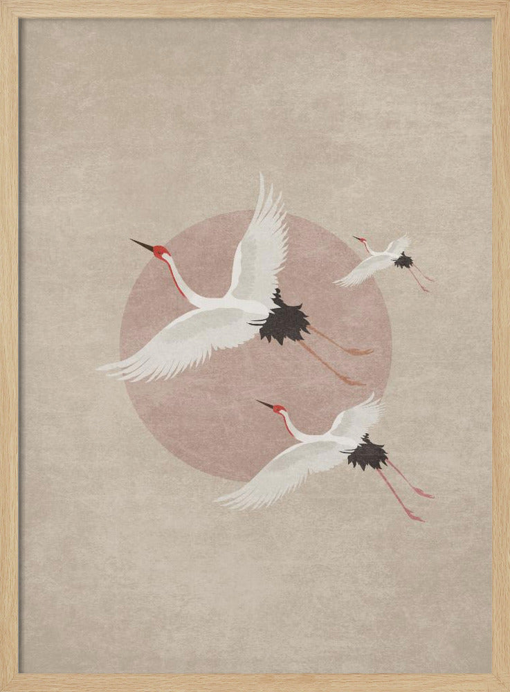 Kraniche im Flug | Poster