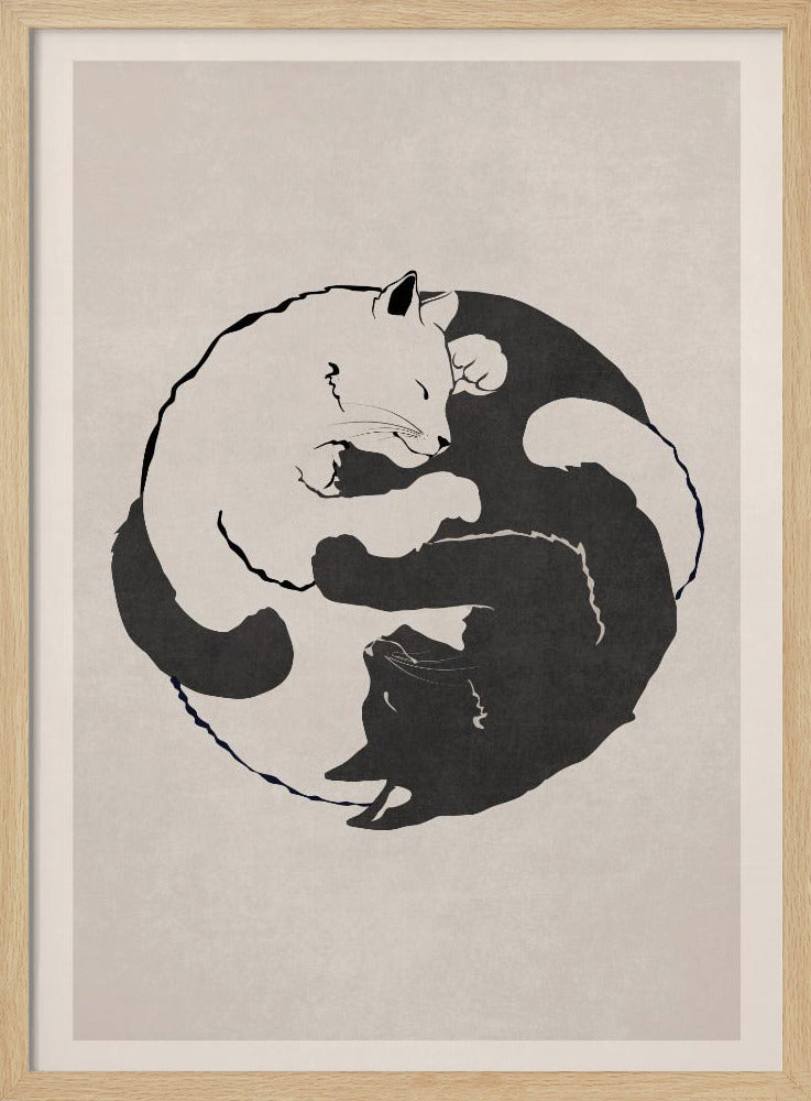 Katzenharmonie | Poster