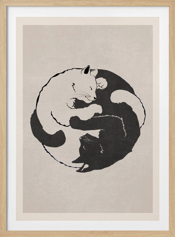 Katzenharmonie | Poster
