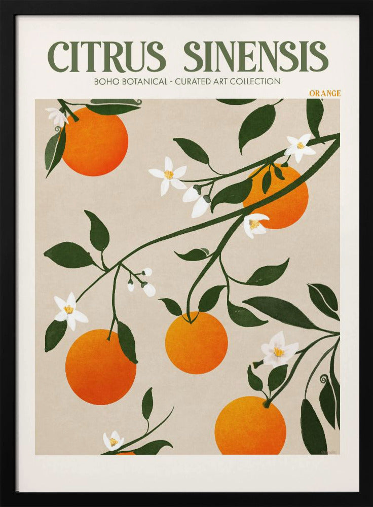 Orange Eleganz | Poster