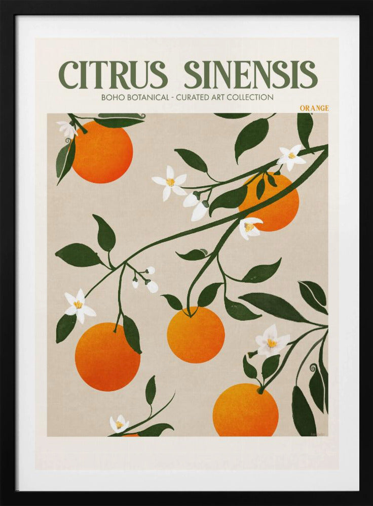 Orange Eleganz | Poster