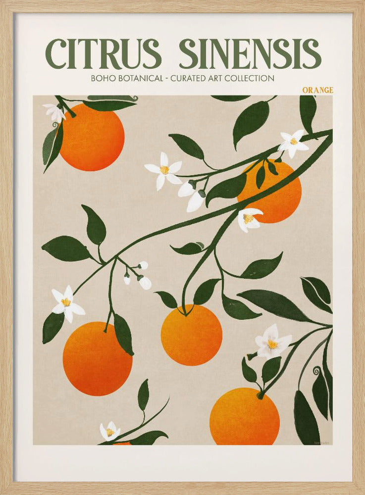 Orange Eleganz | Poster