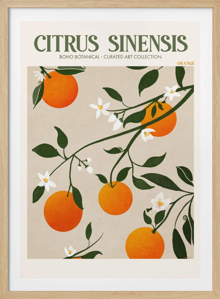 Orange Eleganz | Poster