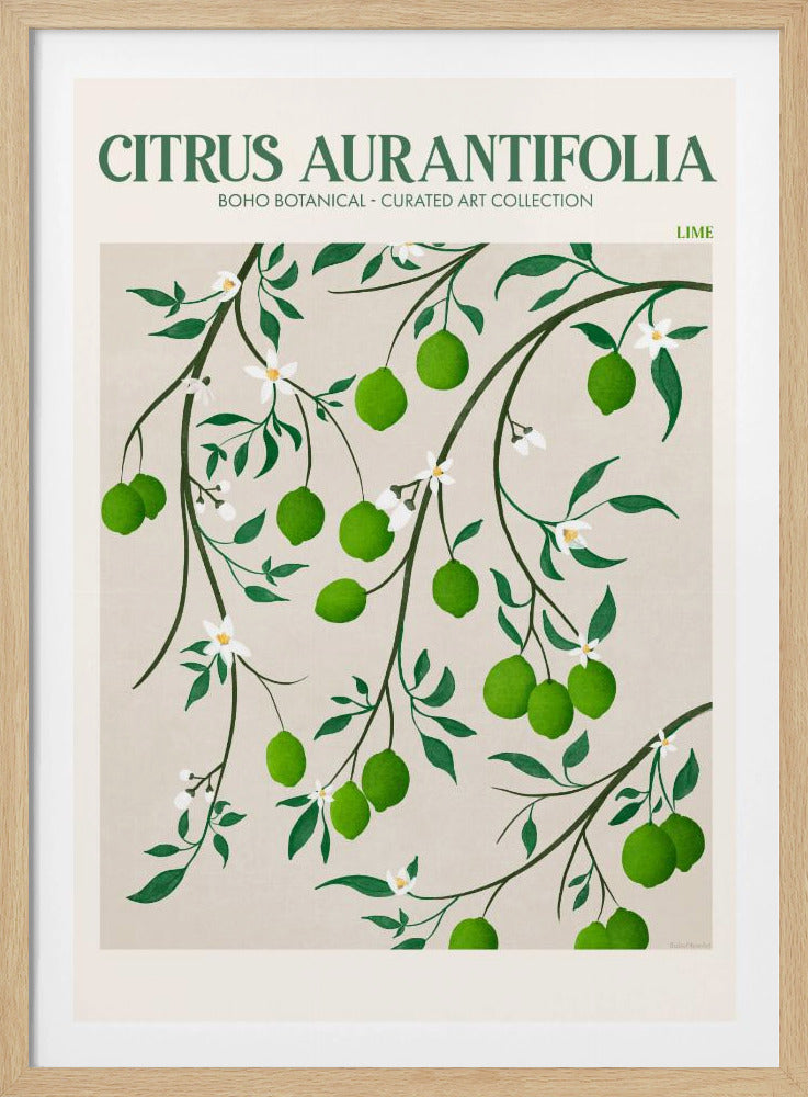 Botanisches Limettenglück | Poster