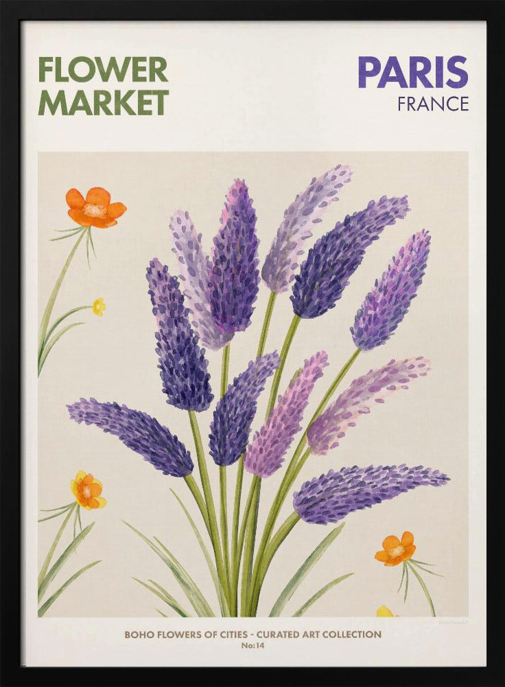 Lavendelblüten | Poster