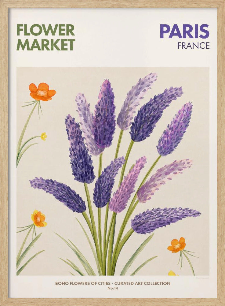 Lavendelblüten | Poster