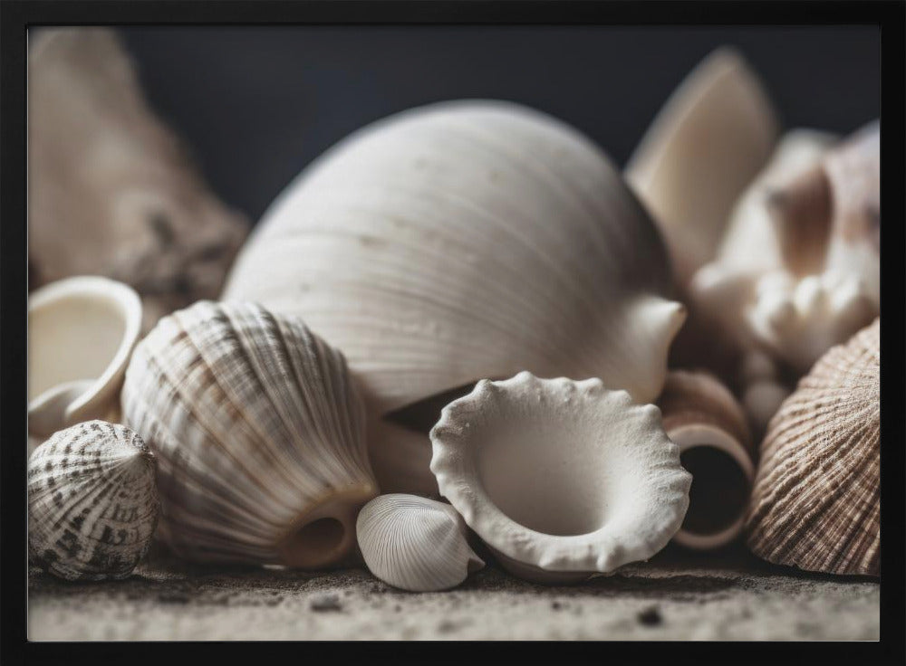 Schätze am Meer | Poster