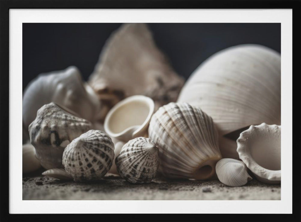 Schätze am Meer | Poster
