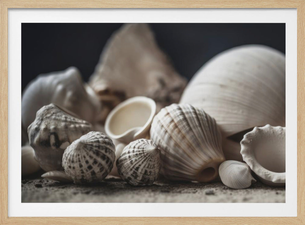 Schätze am Meer | Poster