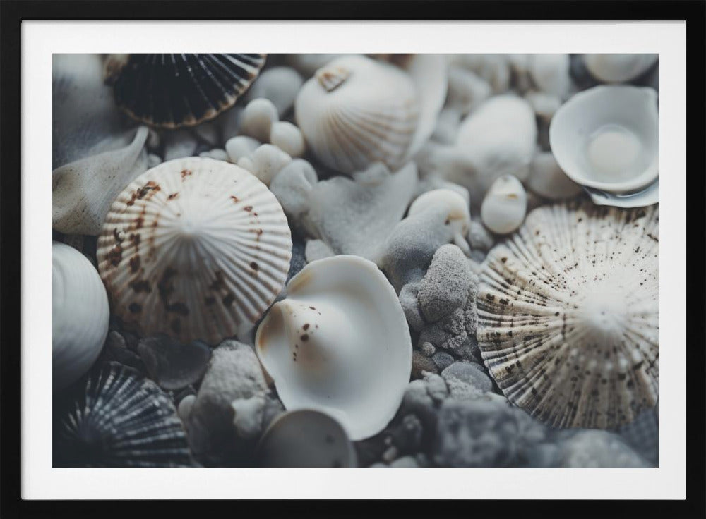 Muschelsymphonie | Poster
