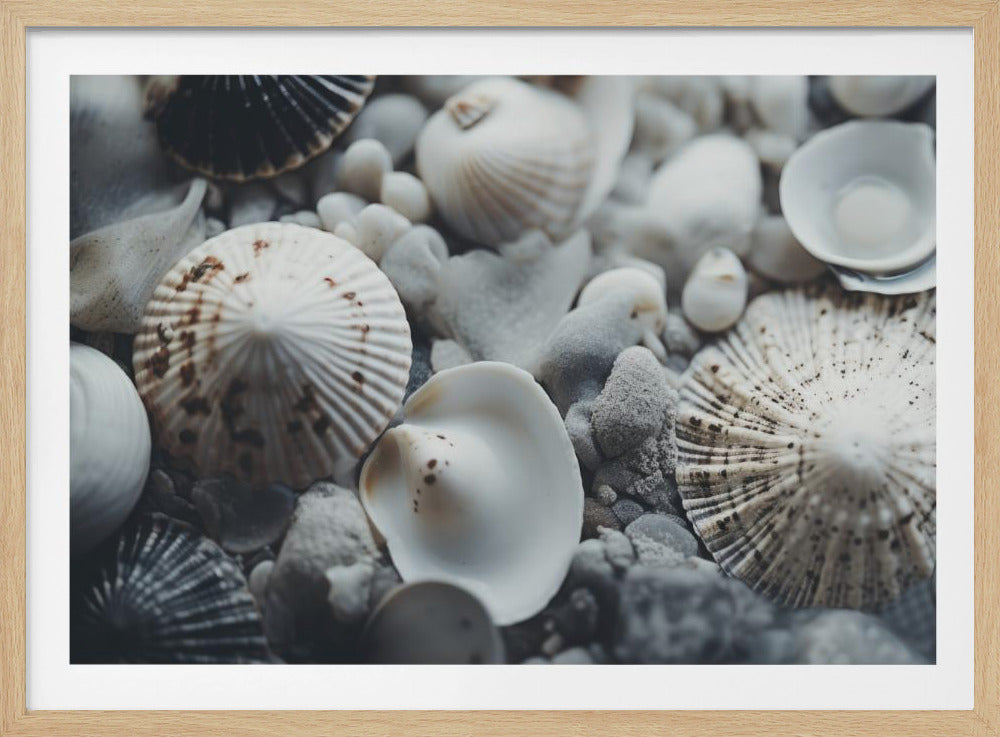 Muschelsymphonie | Poster