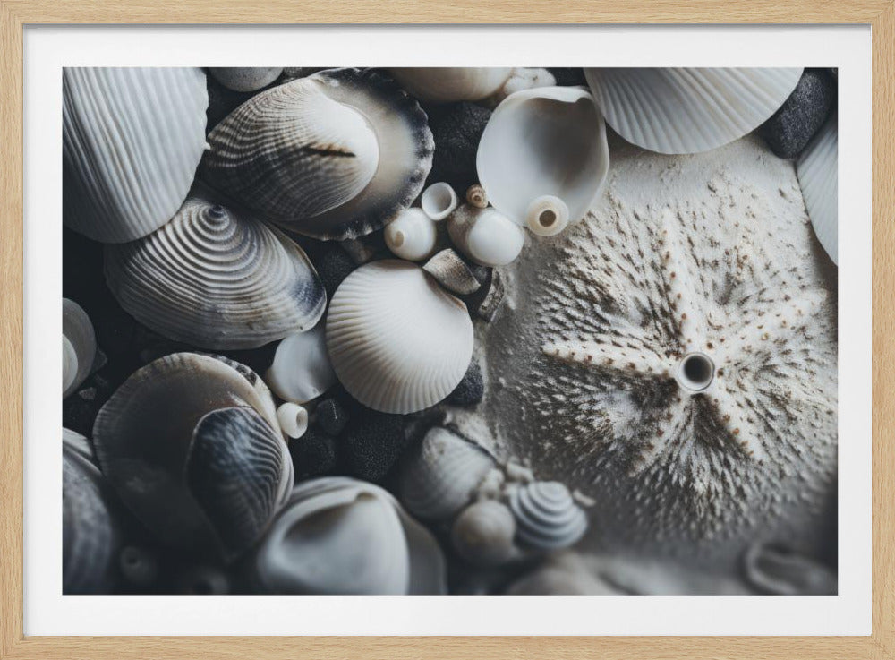 Muschelsymphonie | Poster