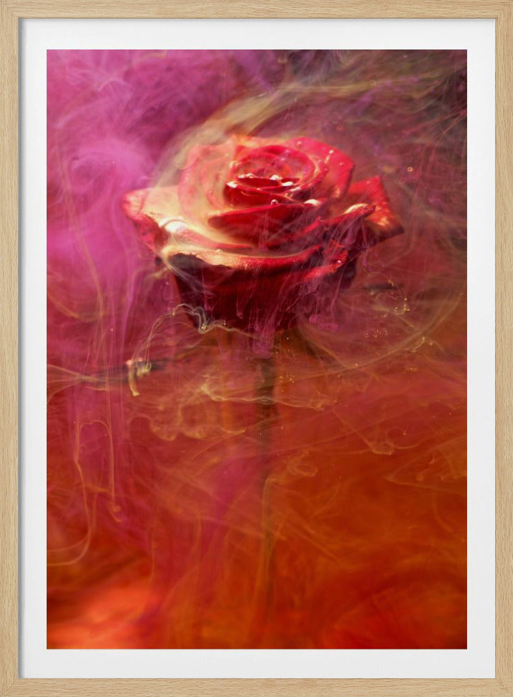 rote Rose und Tinte im Wasser | Poster