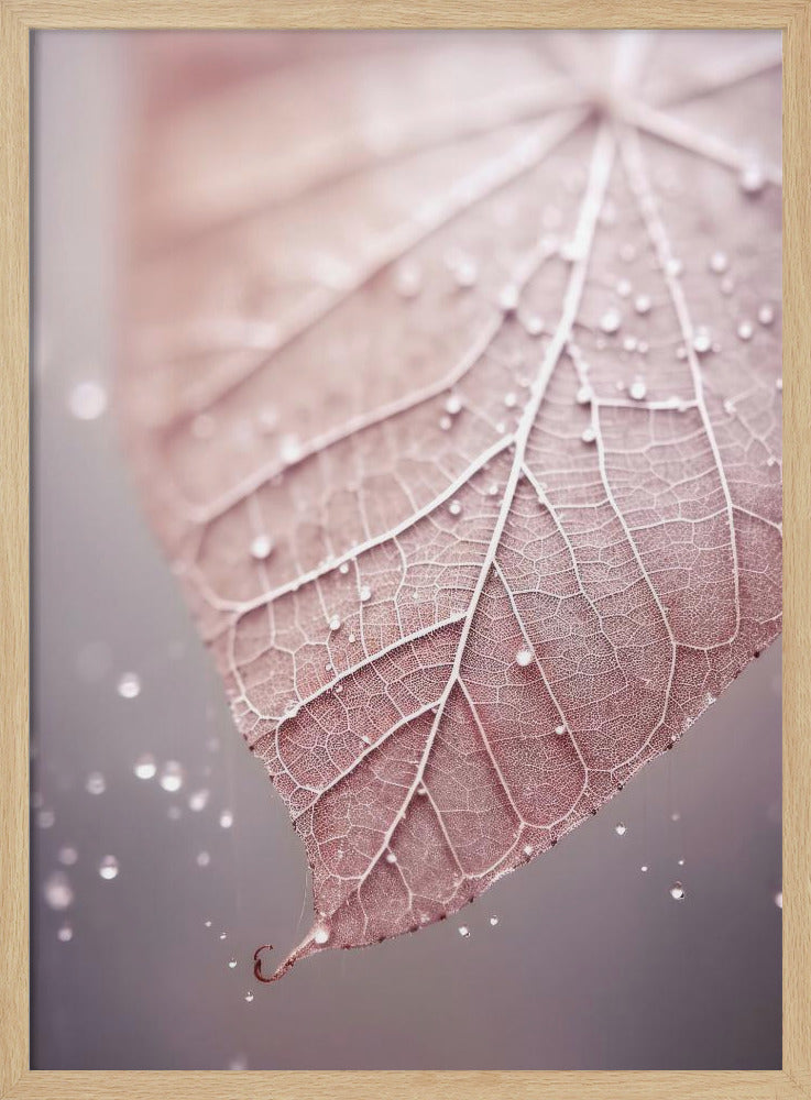 Adern der Gelassenheit | Poster