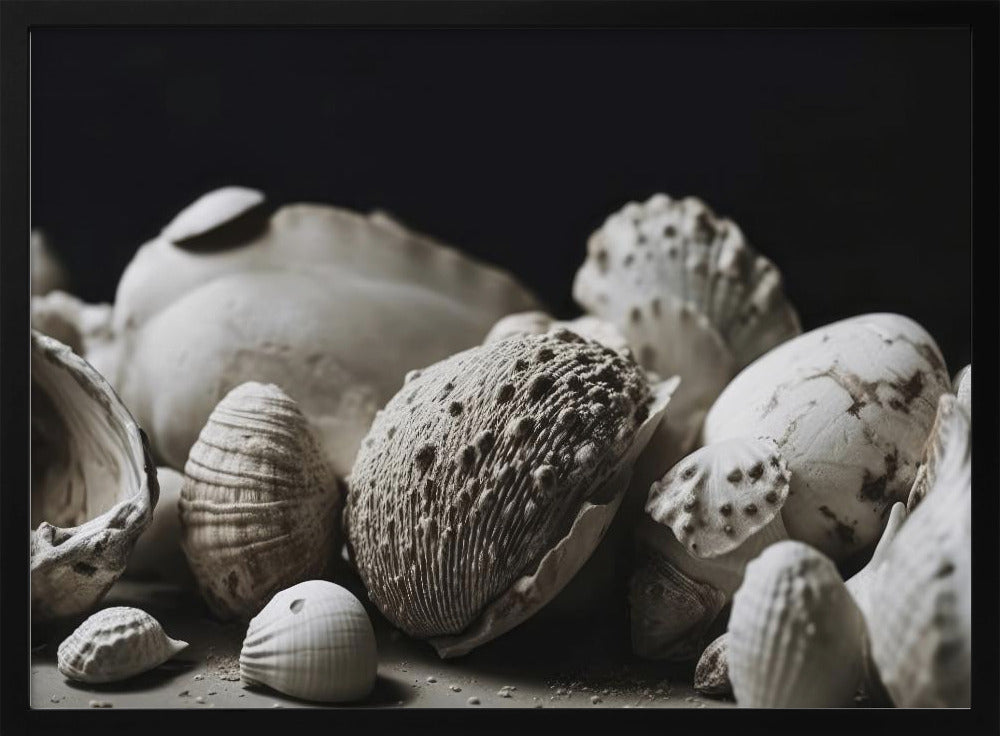 Muschelsymphonie | Poster
