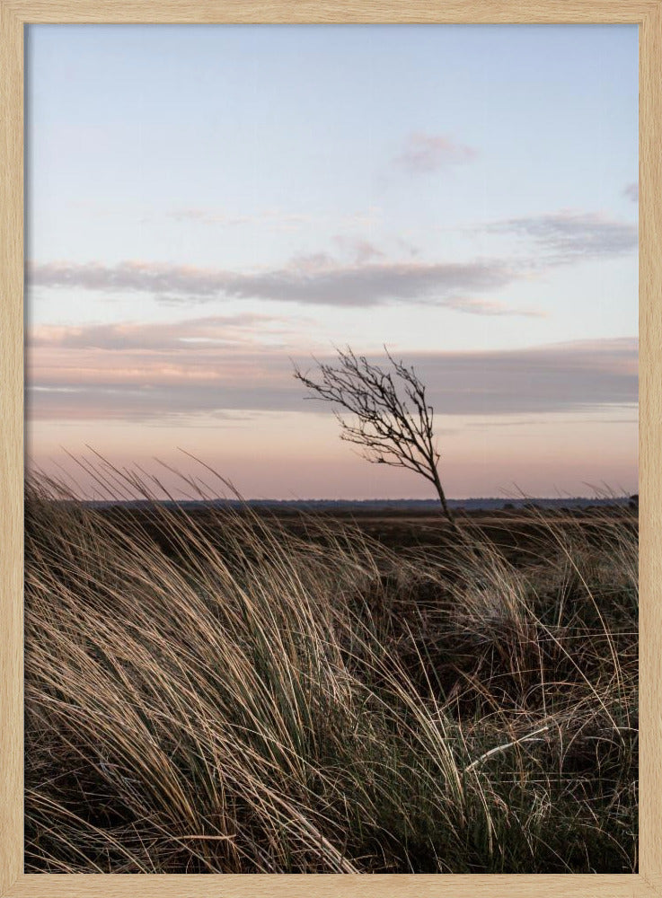 An der Küste 4 | Poster