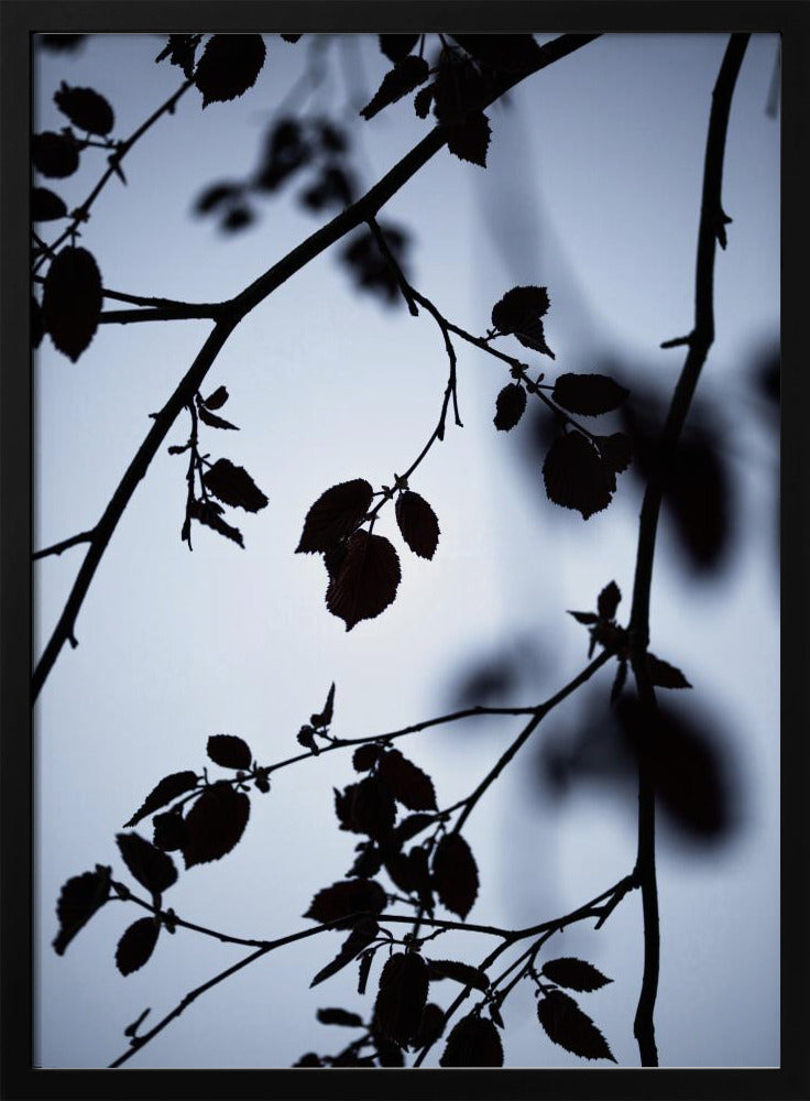 Morgengrauen | Poster