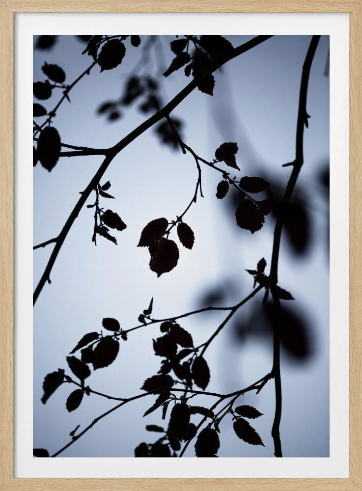Morgengrauen | Poster