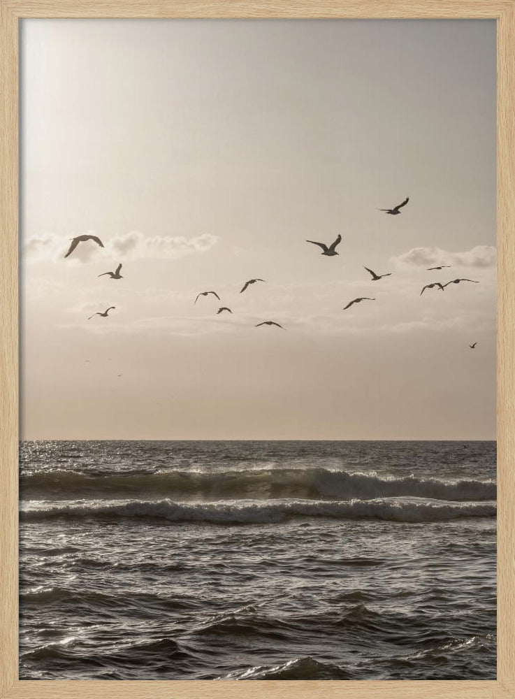 Vögel und das Meer 3 | Poster