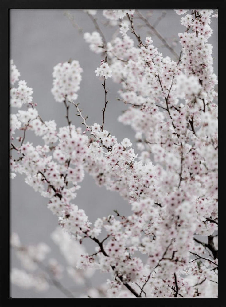 Bunter Frühling 6 | Poster