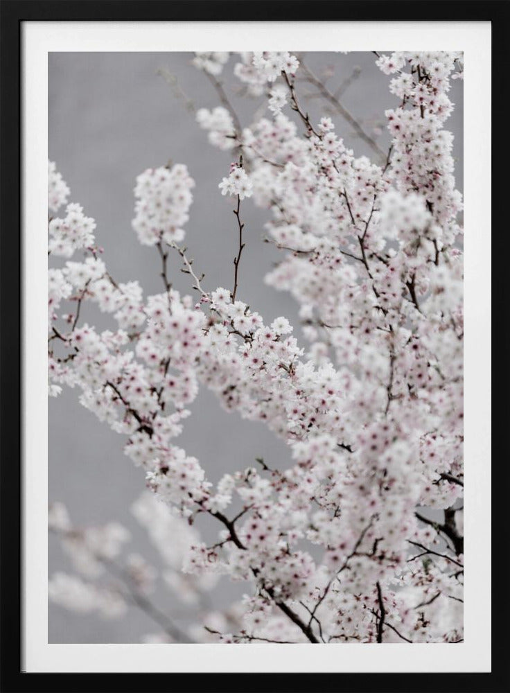 Bunter Frühling 6 | Poster