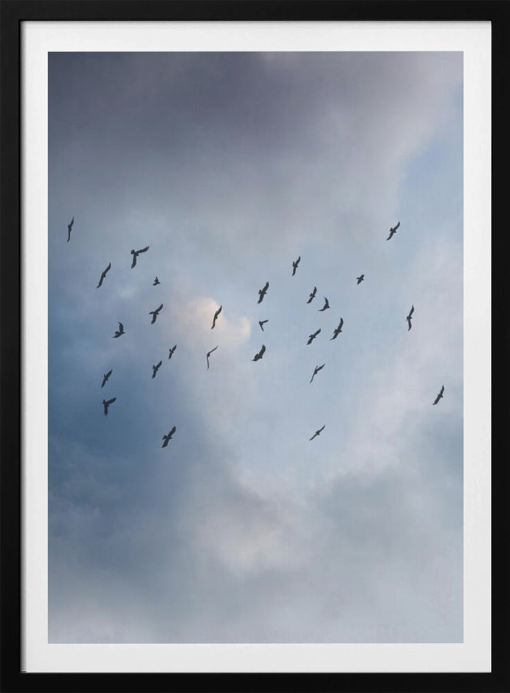 Free As a Bird | Poster
