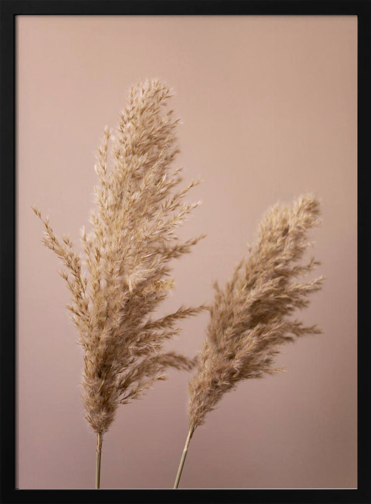 Grass 22 | Poster