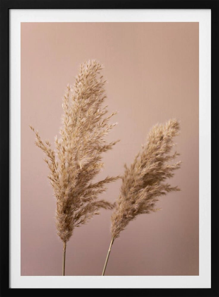 Grass 22 | Poster