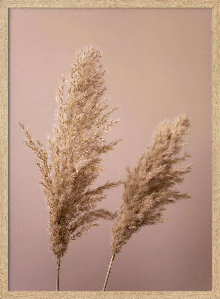 Grass 22 | Poster