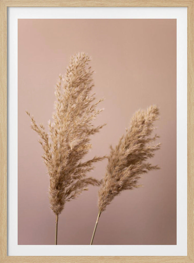 Grass 22 | Poster