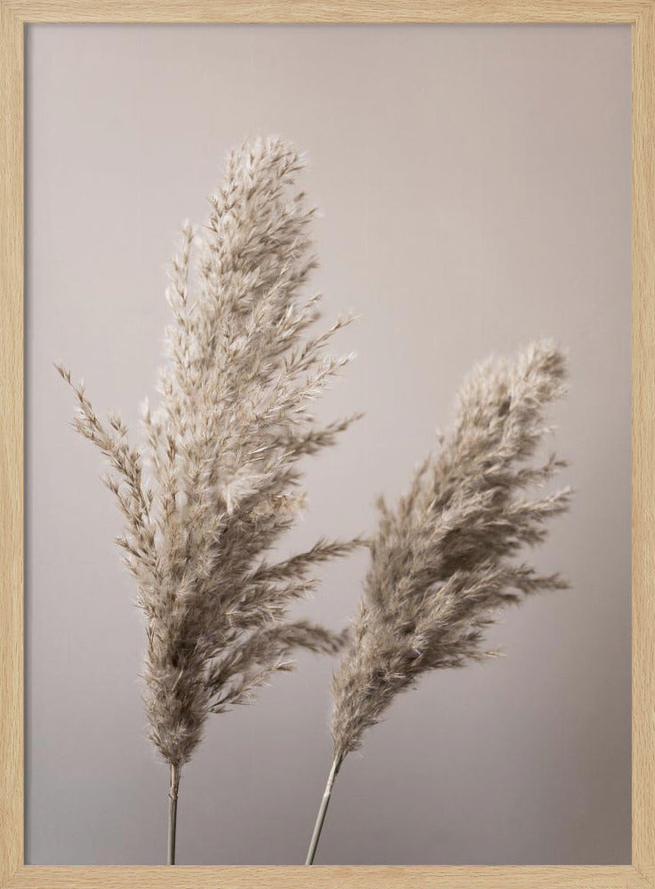Grass 22X | Poster