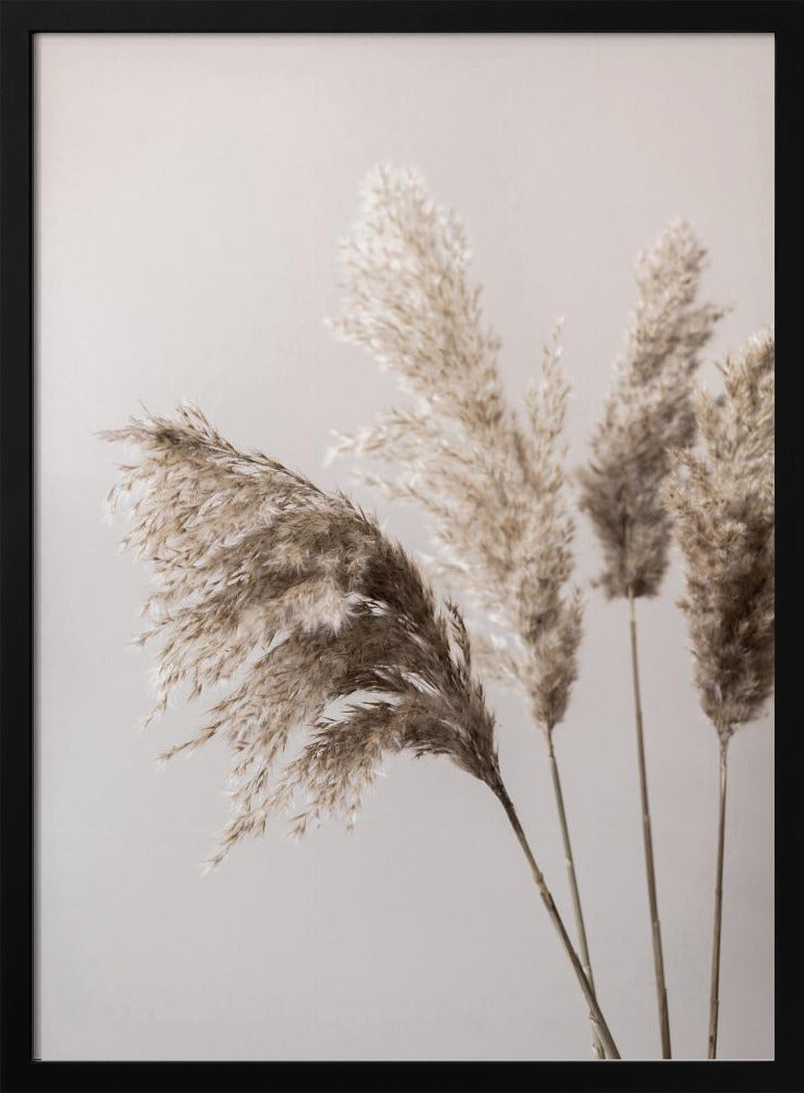 Grass 24X | Poster