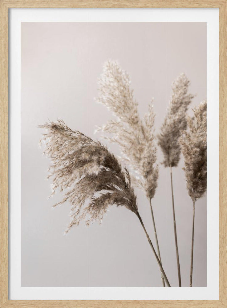 Grass 24X | Poster