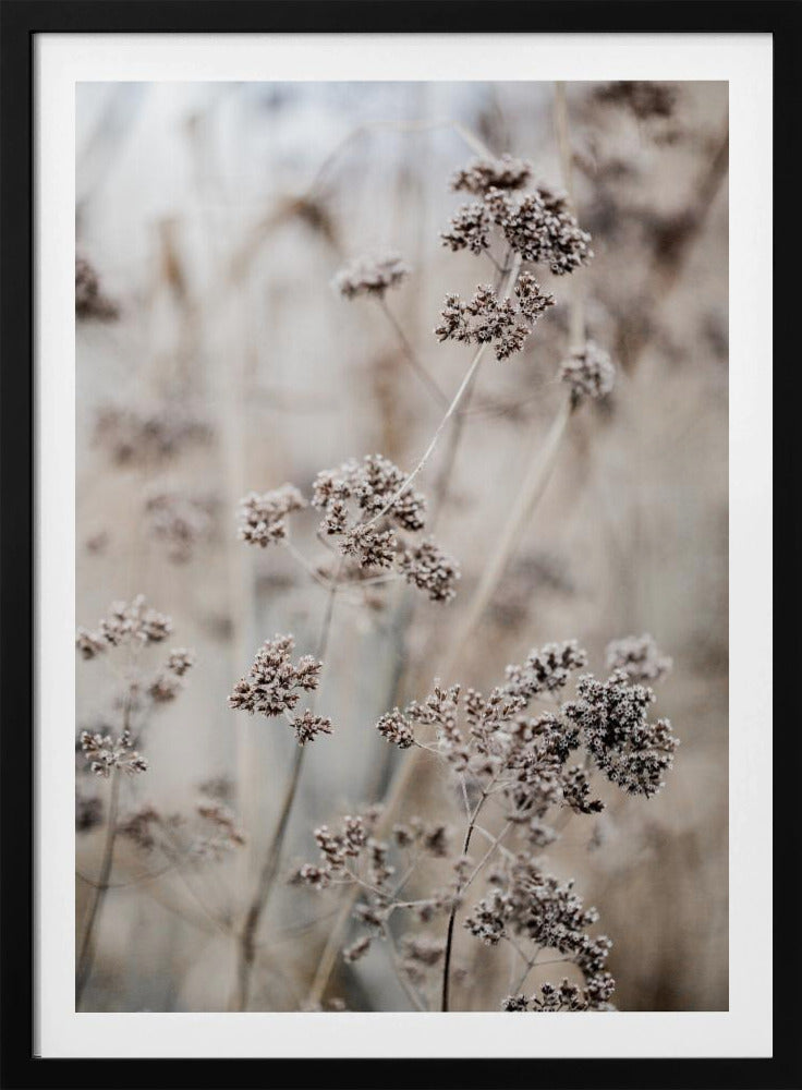 Unbekannt 8 | Poster