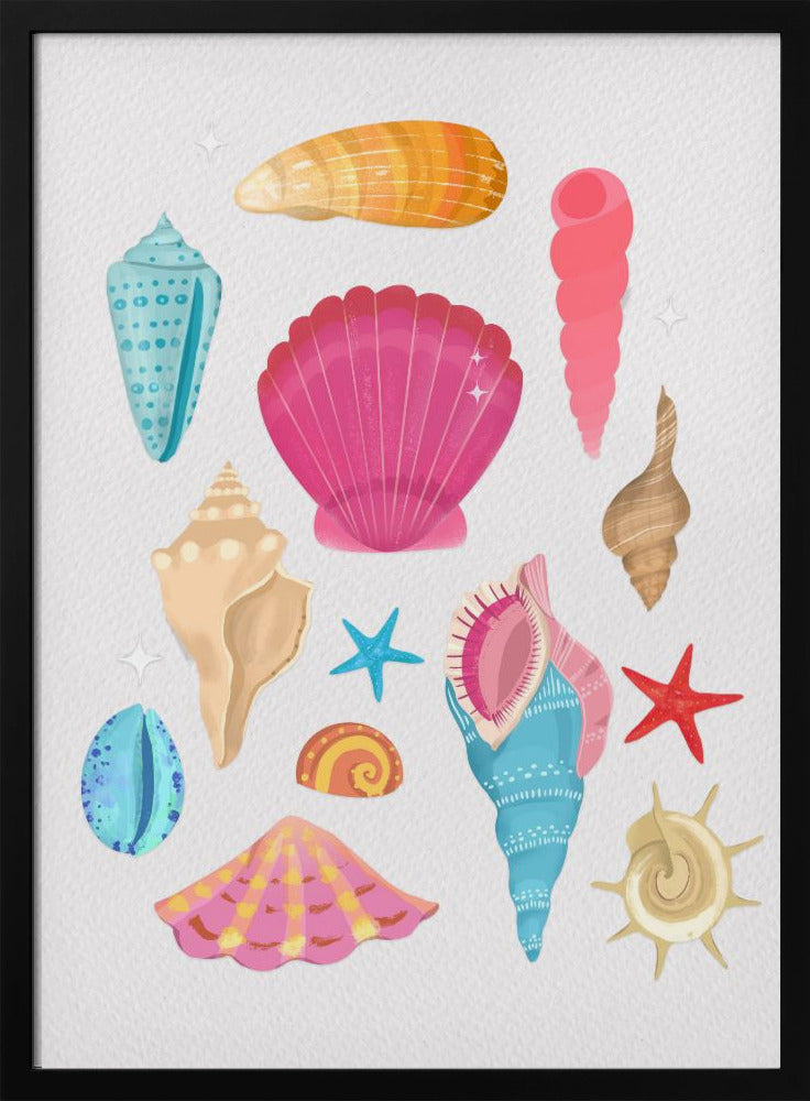 Seashells | Poster