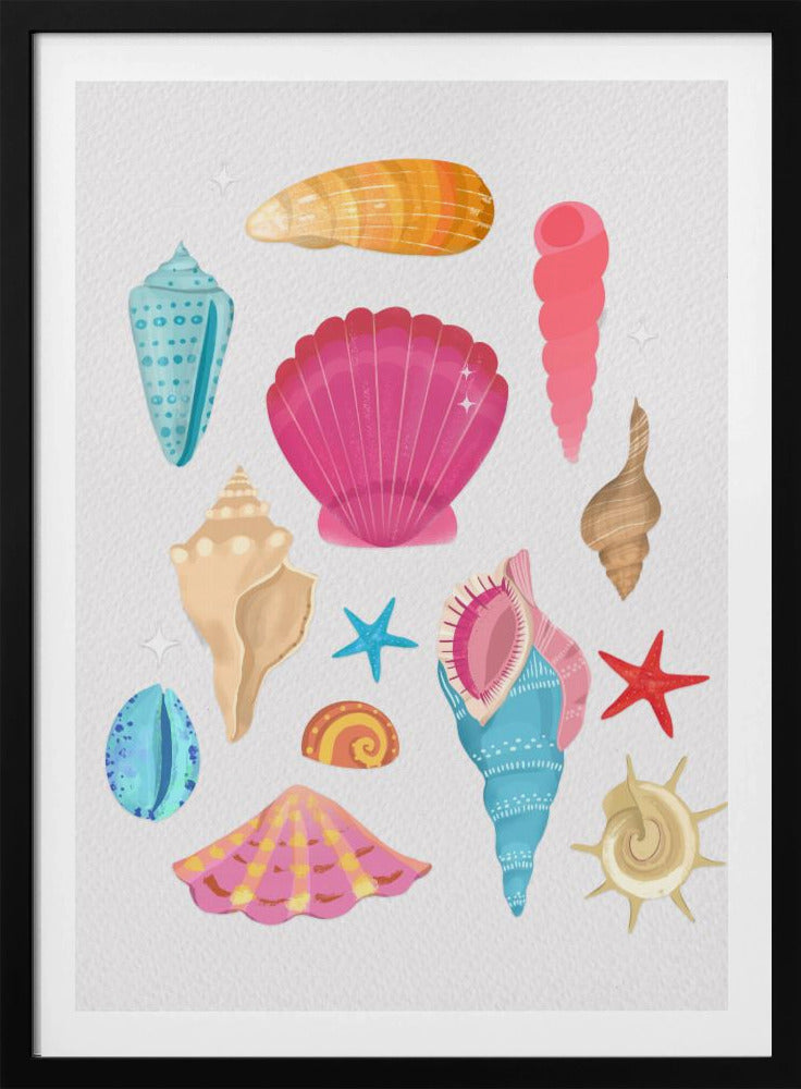 Seashells | Poster