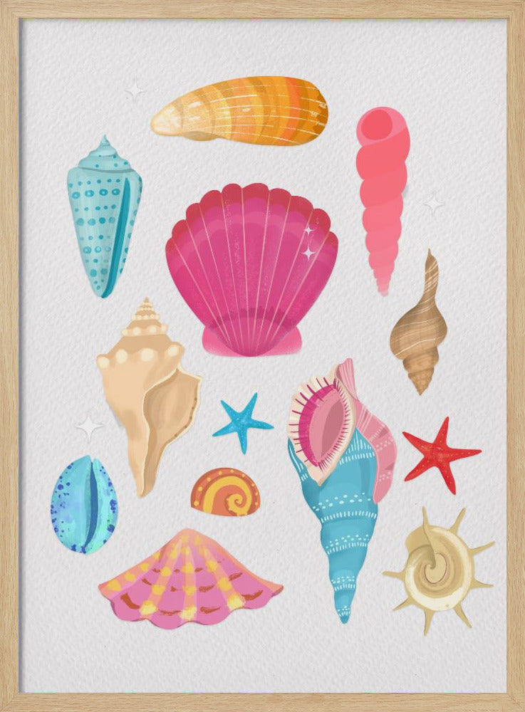Seashells | Poster