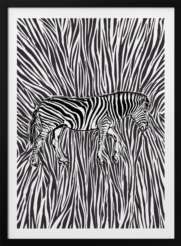 African Zebra striking camouflage | Poster