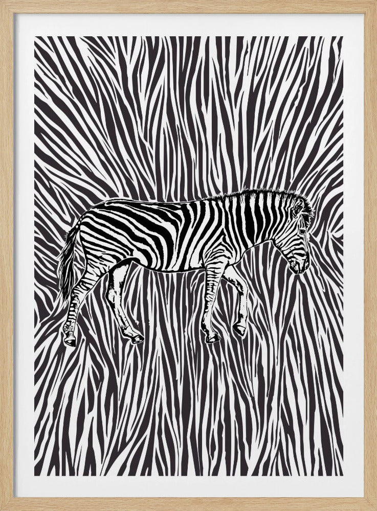 African Zebra striking camouflage | Poster