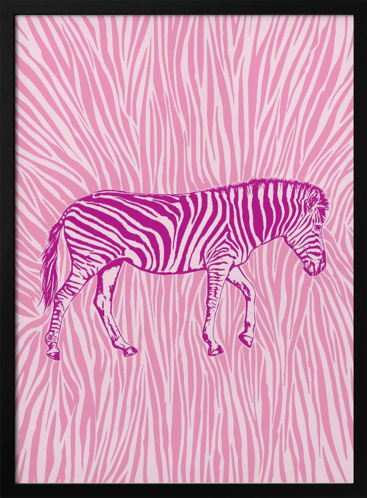 African Zebra striking camouflage | Poster