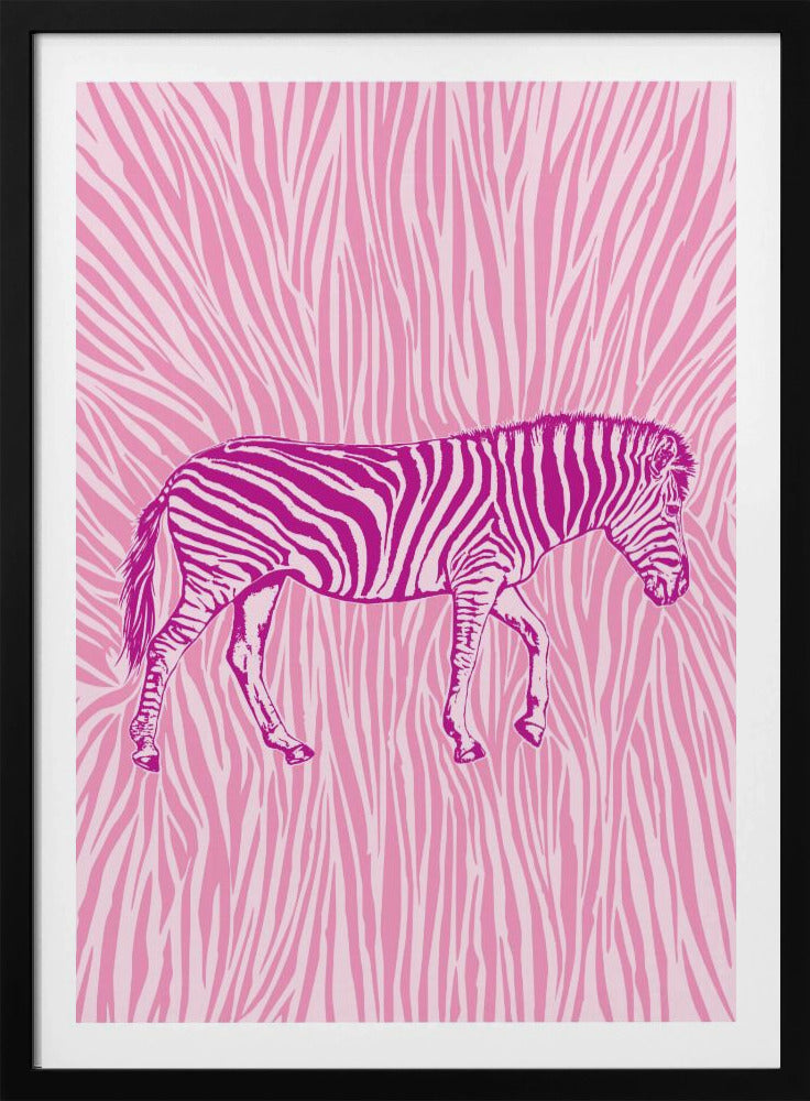 African Zebra striking camouflage | Poster