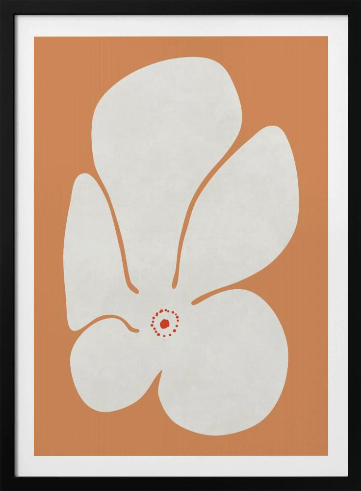 Weiße Mohnblumen Poster