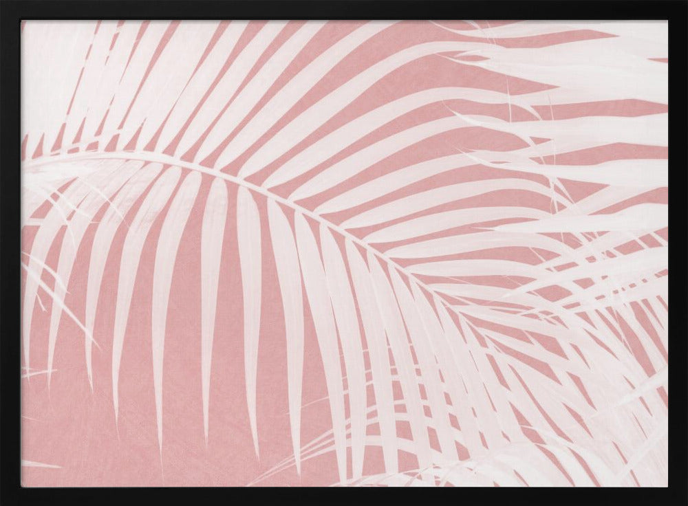 Palmblätter auf rosa Silhouette IV | Poster