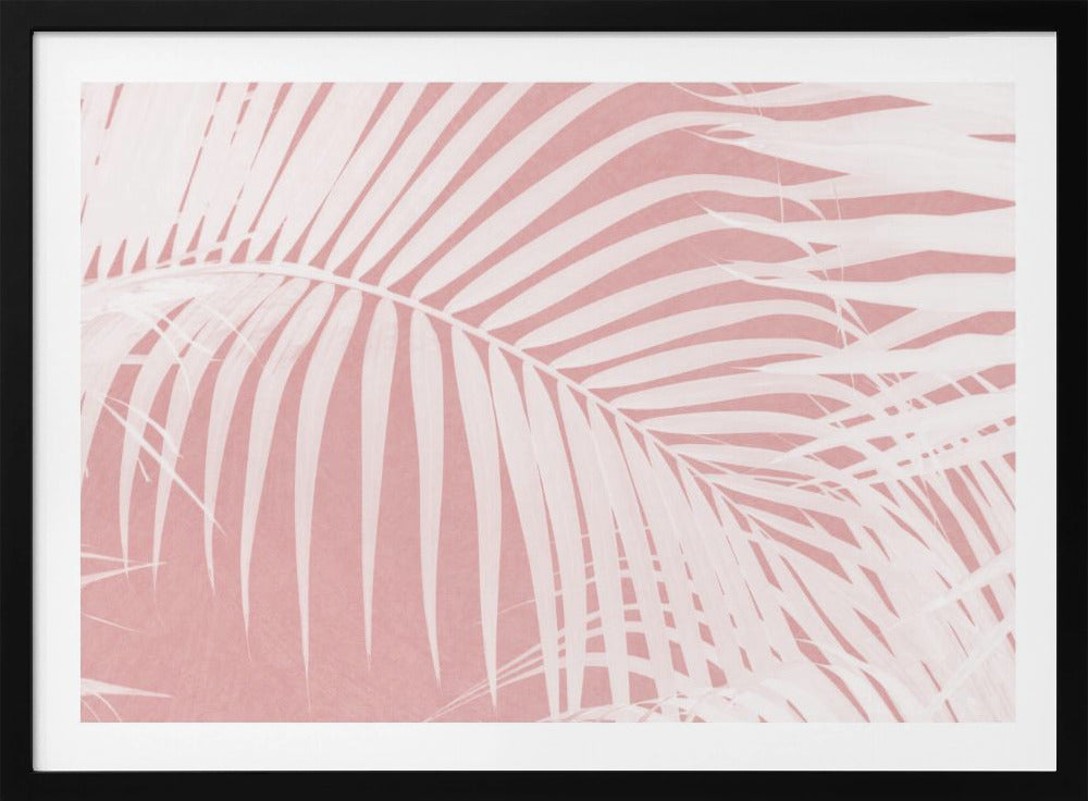 Palmblätter auf rosa Silhouette IV | Poster